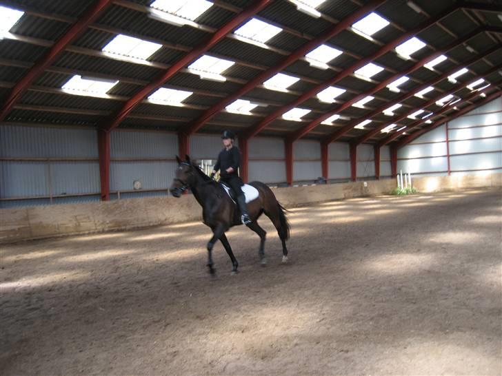 Traver Lady´s Chill -   Foto: Jeanet. billede 17
