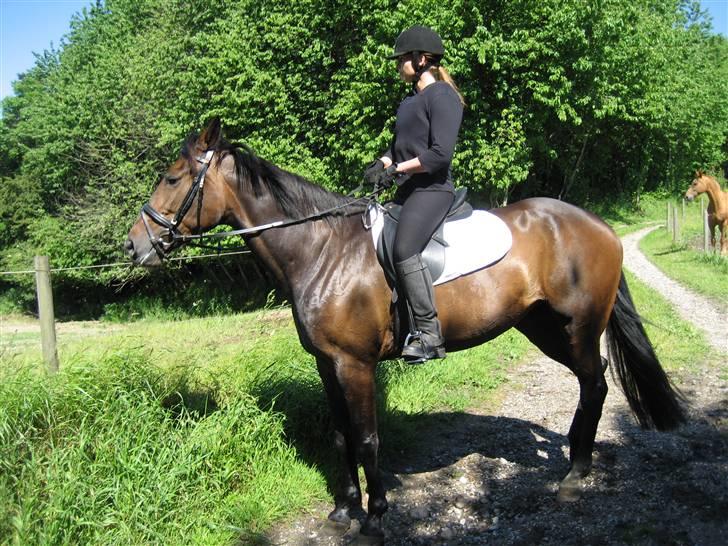 Traver Lady´s Chill - Lady´s chill og Mia    Foto: Jeanet. billede 8