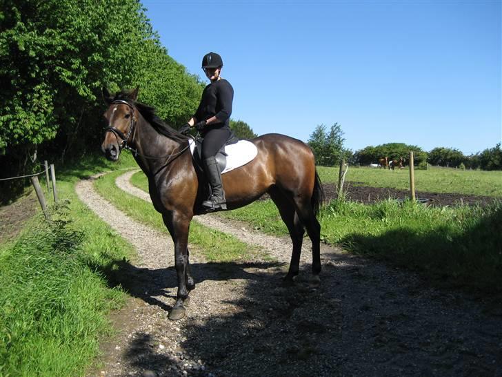 Traver Lady´s Chill - Foto : Jeanet billede 3