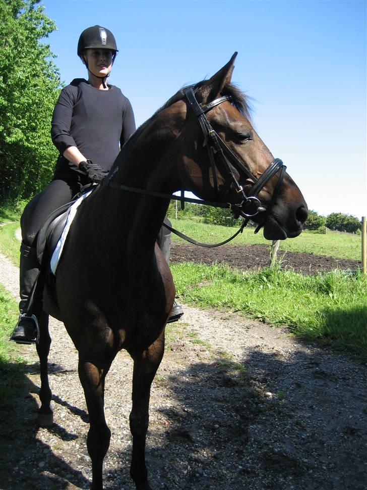 Traver Lady´s Chill - Foto : Jeanet billede 11