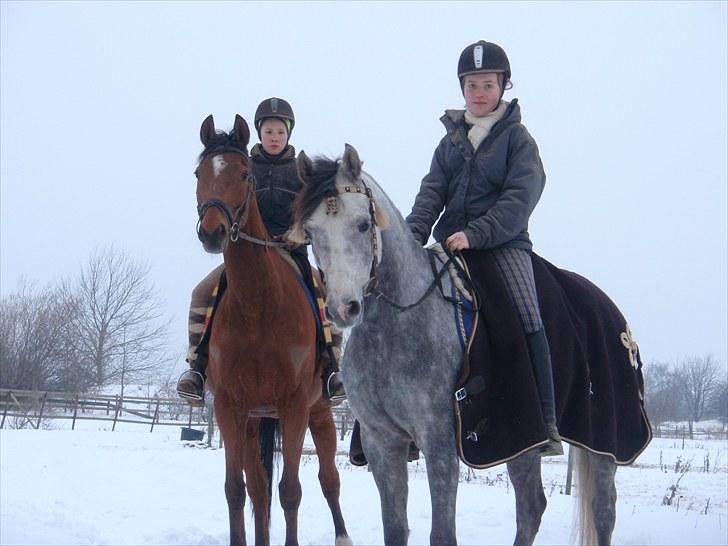 Fuldblod (XX) Little Wing - 9# Aya & Moscato og Mig & Lille poserer (Foto; Silke) billede 9