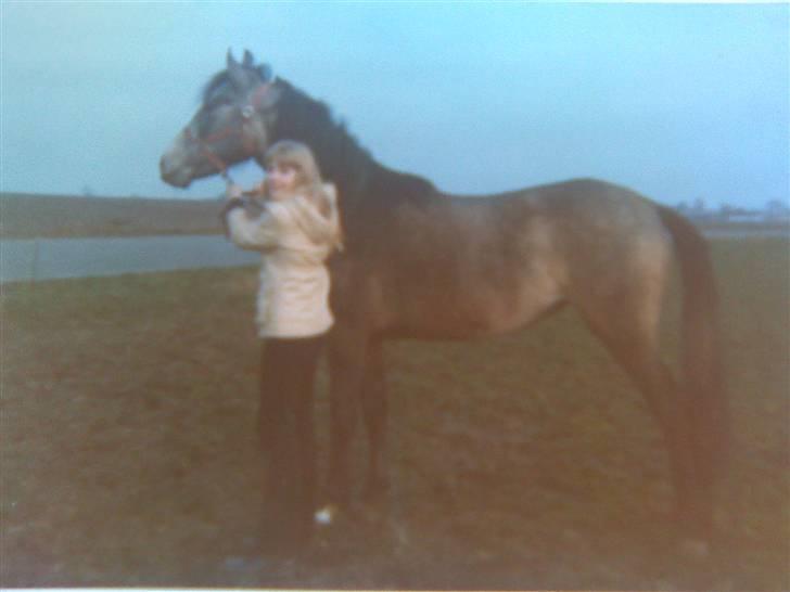 Anden særlig race Fenella - vores unge dage:) Fenella 3 år billede 6