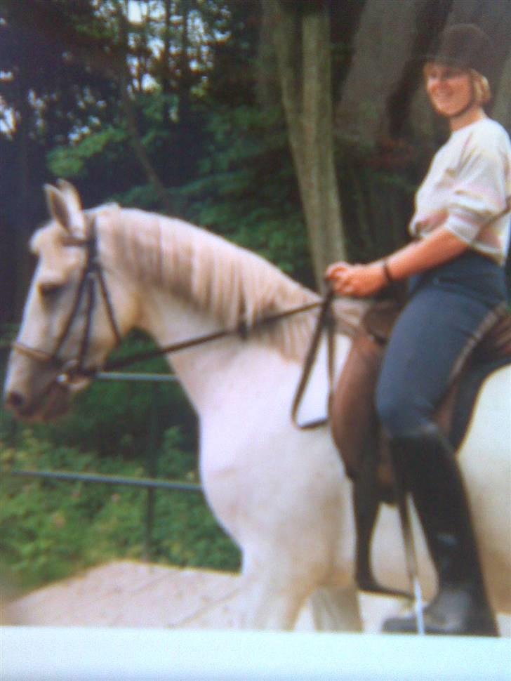 Anden særlig race Fenella - Da vi var bosat i lejre, nød vi at ride ture i ledreborgskoven. billede 9