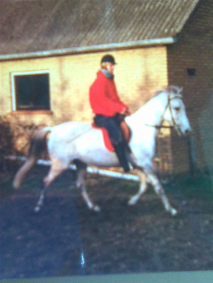 Anden særlig race Fenella - kort efter vi begge var fløjet fra reden, og skulle til at stå på egne ben:)  billede 10