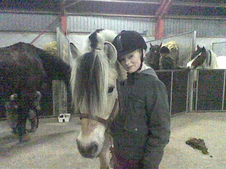 Fjordhest Tulle - mig og tulle der gør klar til ridetimen:D billede 3