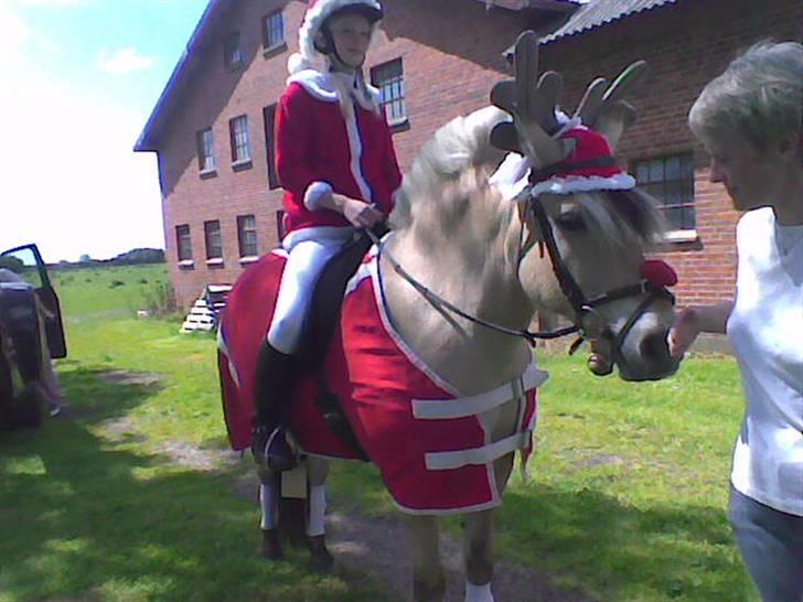 Fjordhest Tulle - mig og tulle der vinder ringridnig og flottest udklædning i Holtet:) billede 4