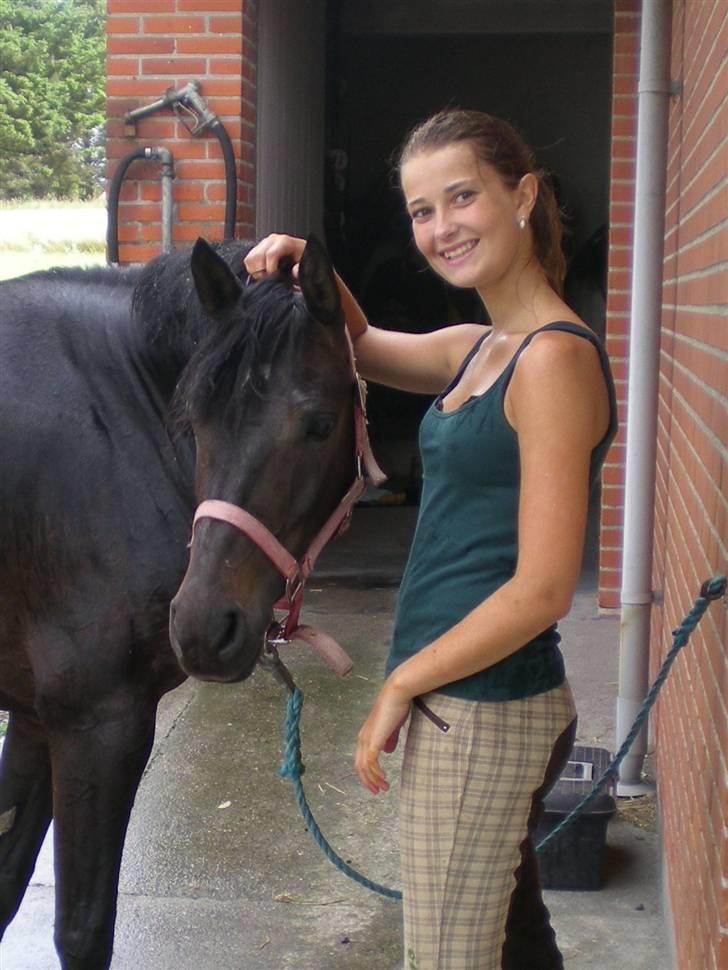 New Forest Mandy - Efter træning i regnvejr billede 8