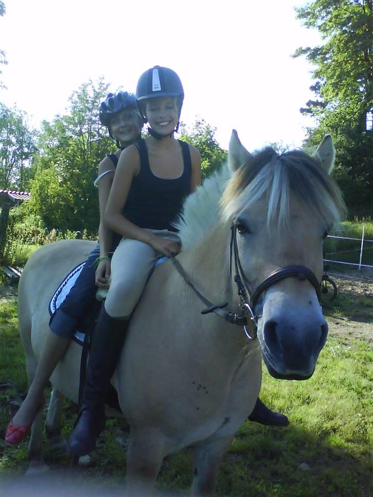 Fjordhest Ebbetorns Fjuri - Mig og Karo på Fjuri, sommeren 2009 <3 billede 7