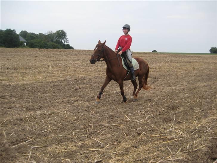 Anden særlig race Kiara - Trav :P billede 15