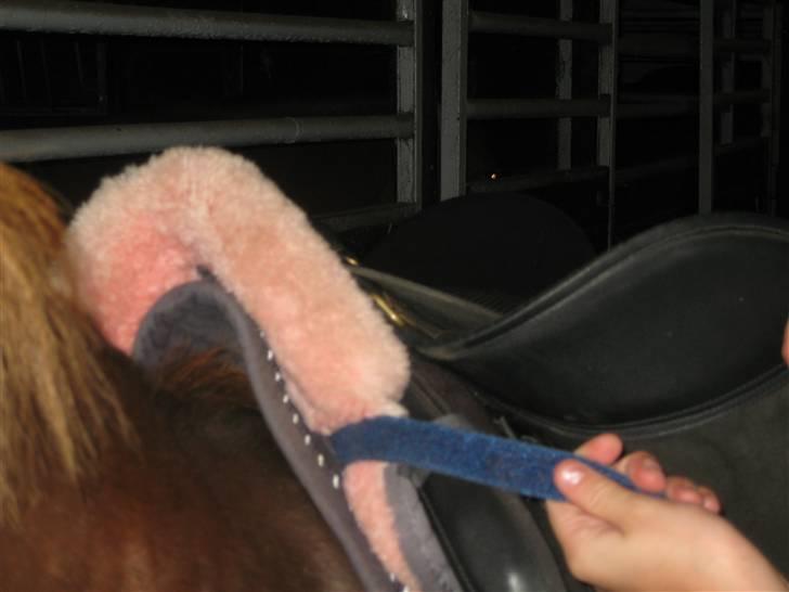 Anden særlig race Flicka - Lyserødt + Flicka = Prinsesse<3333 billede 7