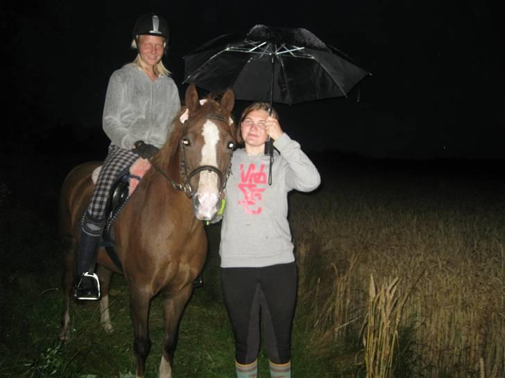 Anden særlig race Flicka - Med Maiken & Anja på aftenstur! Det kan kun blive sjovt;) hehe billede 10