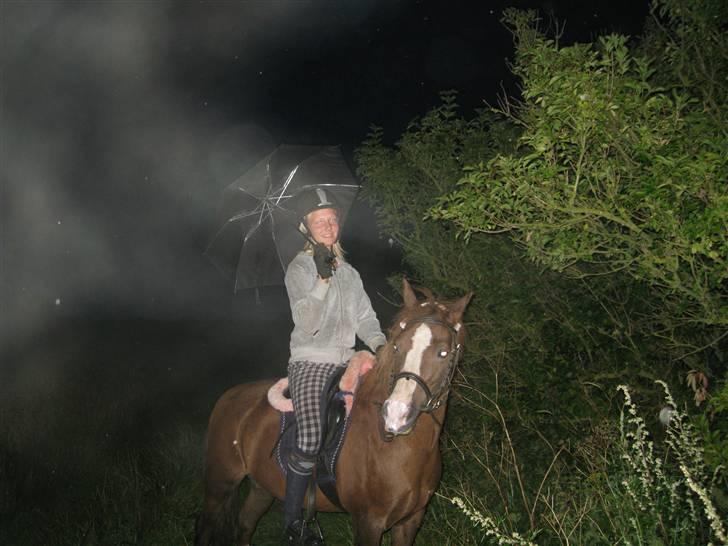 Anden særlig race Flicka - Åh!..... Det ligner jo en hel eventyrs verden?? ;0  billede 11