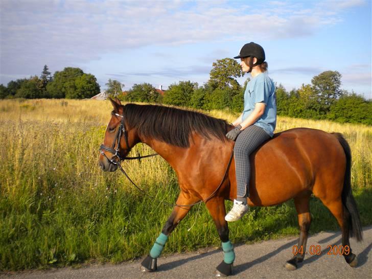 Anden særlig race Bakkelygård's Flicka <3 - I byen med Flicka og Michelli ♥
040809 billede 17