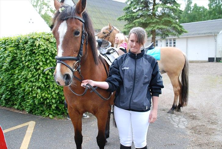 Anden særlig race Bakkelygård's Flicka <3 - Konfirmation. På trods af vi aldrig er sådanne steder med mange mennesker, klarede du det SÅ flot! Lidt tændt, men alligevel super flot. Jeg elsker dig ♥
240509 billede 15