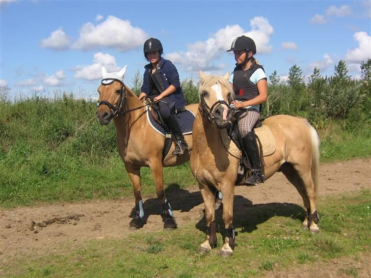 Anden særlig race Kandy Sweet *Red* - bedste venner EVER!!<3 billede 1