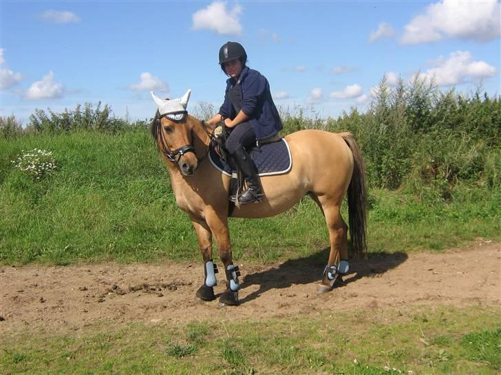 Anden særlig race Kandy Sweet *Red* - mig og kandy sweet billede 2