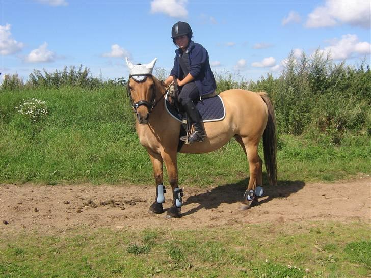 Anden særlig race Kandy Sweet *Red* - mig og kandy billede 3