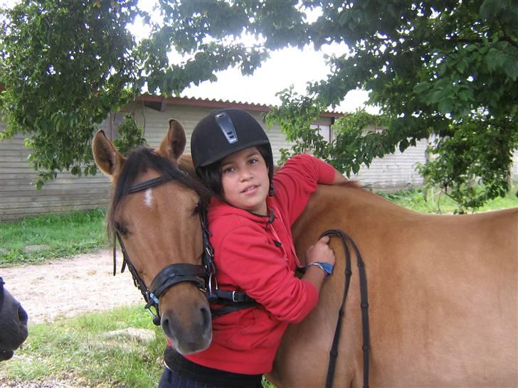 Anden særlig race Kandy Sweet *Red* - strigle konkurrence billede 11