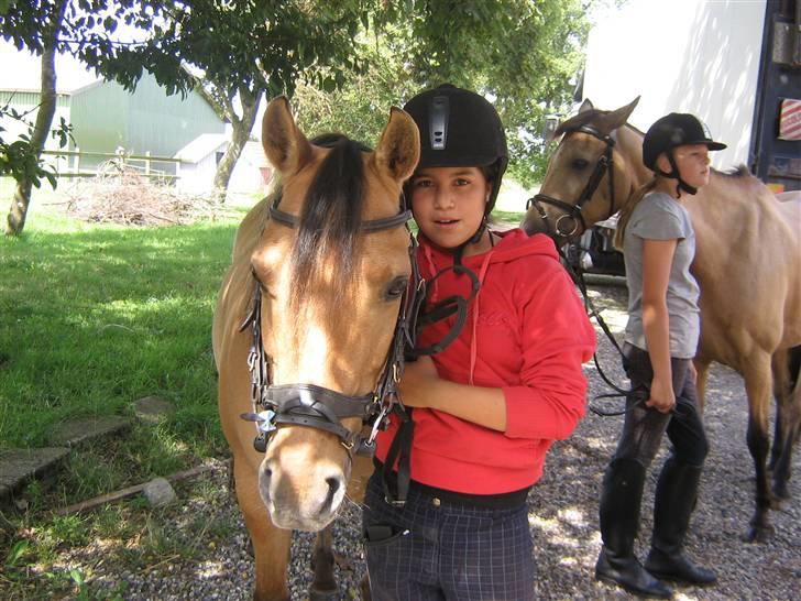 Anden særlig race Kandy Sweet *Red* - sidsel og kandy sweet billede 12