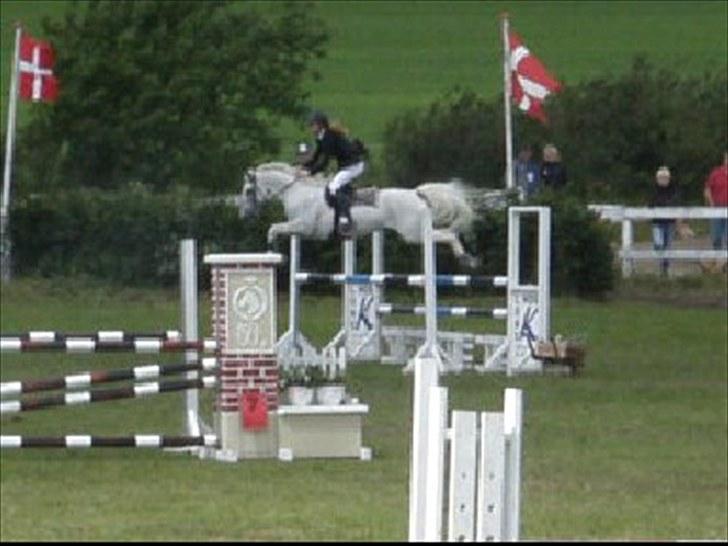Anden særlig race Snowflake - solgt. - Velkommen :D Emilie og Snowflake, MA 20 Juni. Foto; Gitte Dahl - taget ud af video. billede 1