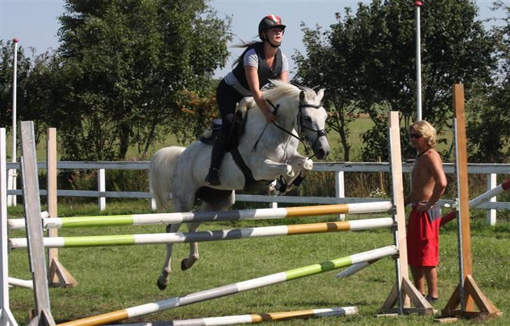 Anden særlig race Snowflake - solgt. - lækker, lækker teknik!  Foto; Cille perto. billede 5