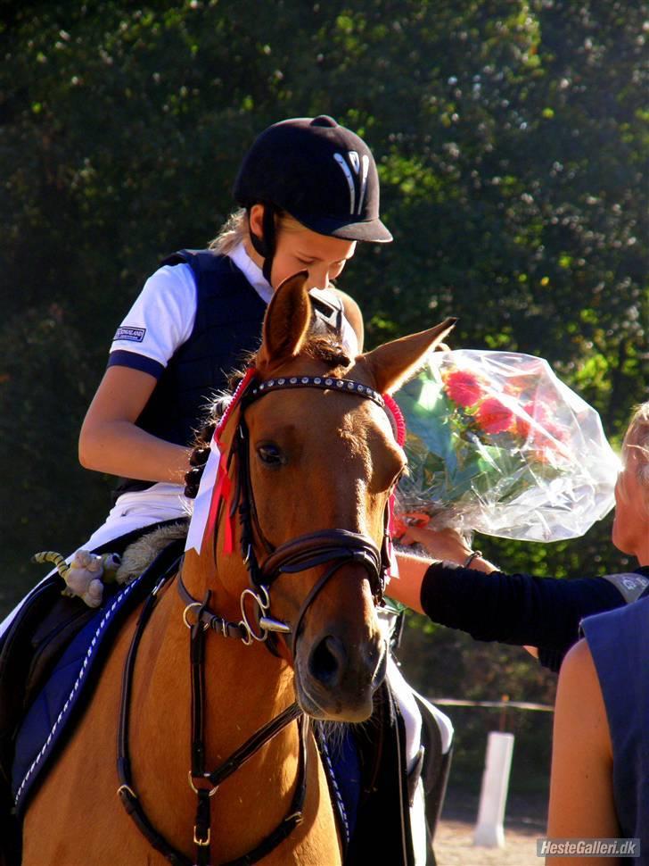 Anden særlig race Bøgelunds O'Conner - her har vi vundet klubmesterskab for pony 2009 på Hørsholm rideklub! <3 <3 billede 1