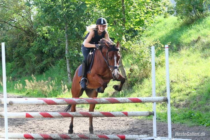 Anden særlig race Hildago *tidligere part* - springtræning foto: jessie<3 billede 10