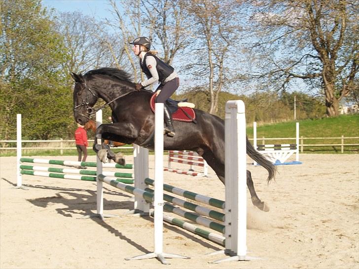 Anden særlig race harald baldur billede 3