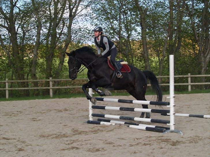 Anden særlig race harald baldur billede 4