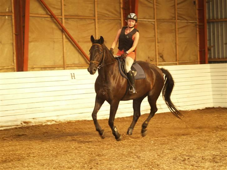 Anden særlig race harald baldur billede 5