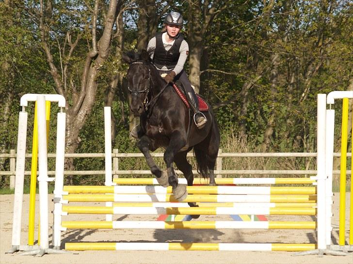 Anden særlig race harald baldur billede 6