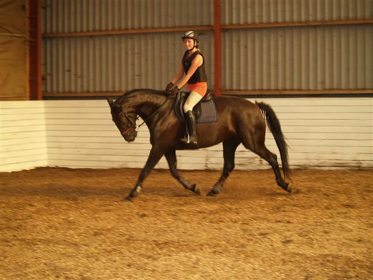 Anden særlig race harald baldur billede 7