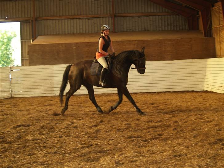 Anden særlig race harald baldur billede 8