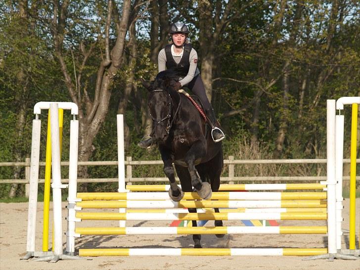Anden særlig race harald baldur billede 9