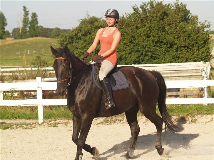 Anden særlig race harald baldur billede 10