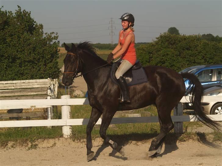 Anden særlig race harald baldur billede 11