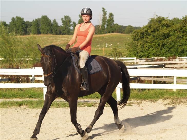 Anden særlig race harald baldur billede 12