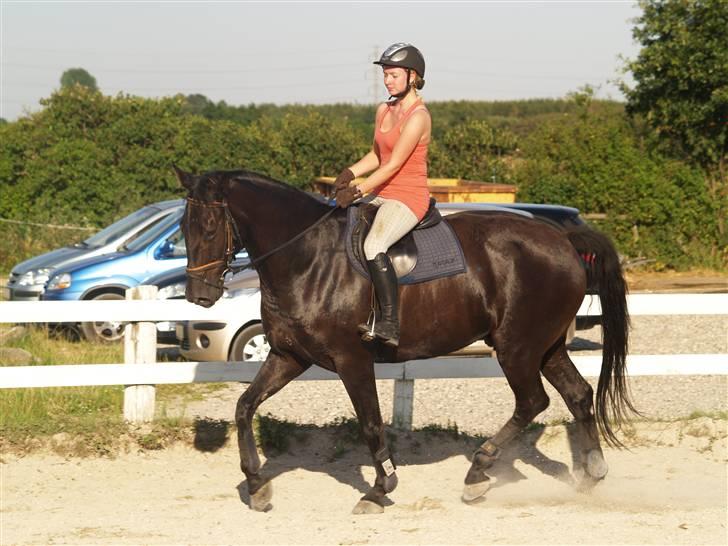 Anden særlig race harald baldur billede 13