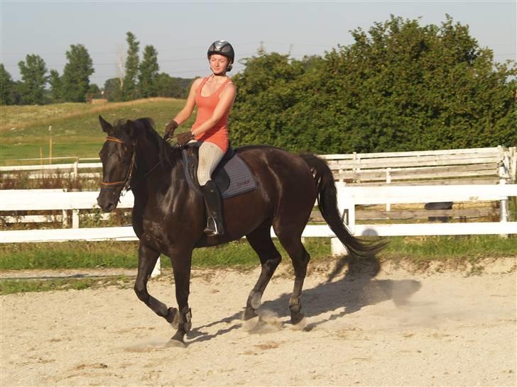 Anden særlig race harald baldur billede 14