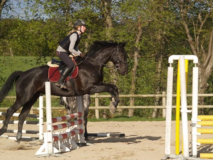 Anden særlig race harald baldur billede 15