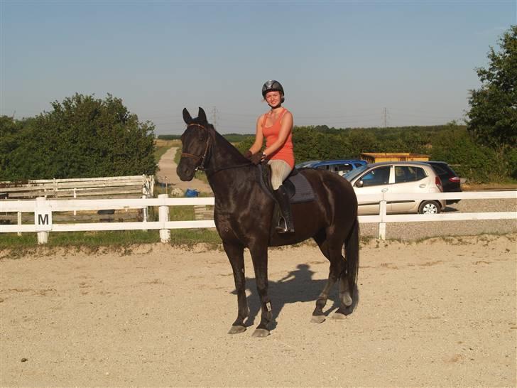 Anden særlig race harald baldur billede 16
