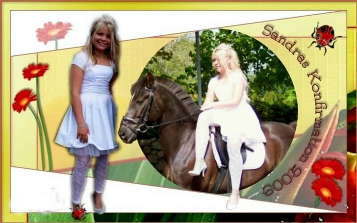 Hollandsk Sportspony Chico :* <3 billede 19