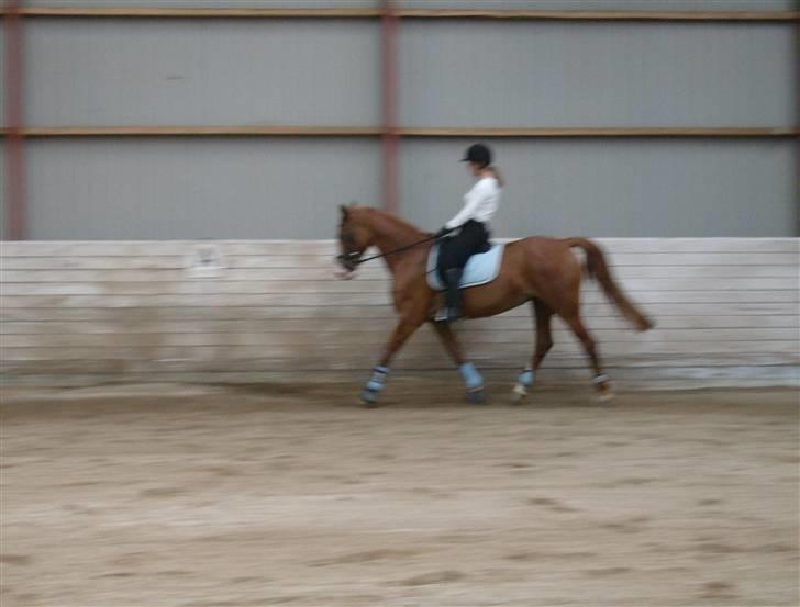 Frederiksborg Chaca Kronborg R.I.P. - Min første tur på Chaca billede 6