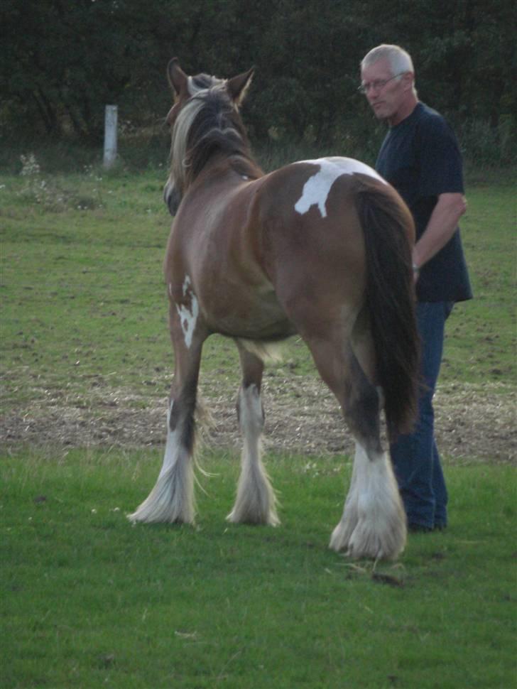 Tinker Sky's O'Raya - En stille snak med en tykhudet hest, der egentlig ikke fatter et kvæk af hva cowboyen siger, mens han var ved at synke, knipsede jeg på lang afstand med en dårlig zoom dette billed. billede 19