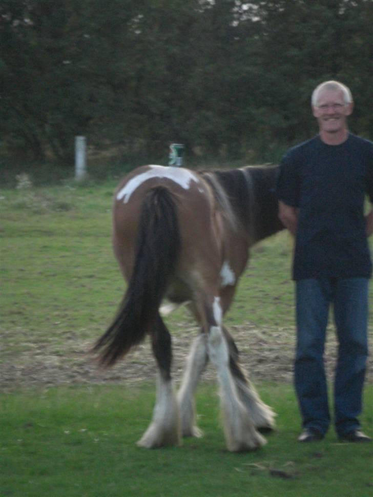 Tinker Sky's O'Raya - Og pludselig var cowboyen opdaget - han har en god evne til at smide alle ting fra sig og se uskyldig ud, og her gik det ud over den tykhudede O´Raya der fik en "Øl på nakken".. "Ja Ja, jeg har altså luret hvordan den endte der" - var min tanke :D ha billede 20