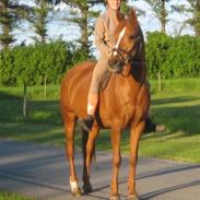 Anden særlig race Sonny Sagana [tidl. hest]