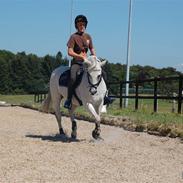 Connemara coda(gamle part)