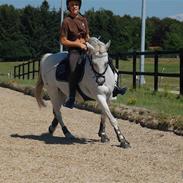 Connemara coda(gamle part)