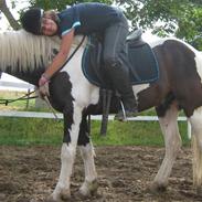 Anden særlig race | Gizmo <3 |