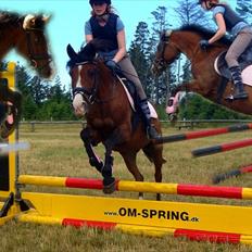 Anden særlig race Kisandra *R.I.P.*